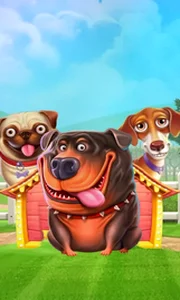 The Dog House